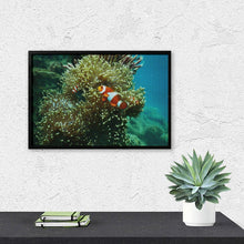 Cargar imagen en el visor de la galería, Pintura con Diamantes Redondos Personalizada | Pinta con Luz