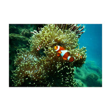 Cargar imagen en el visor de la galería, Pintura con Diamantes Redondos Personalizada | Pinta con Luz