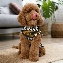 Cargar imagen en el visor de la galería, Camiseta de Verano Personalizada para Gatos y Perros Pequeños