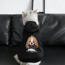 Cargar imagen en el visor de la galería, Sudadera para Perros Hip-Hop Personalizada | Ropa Urbana Mascotas