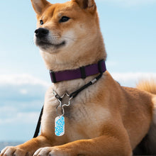 Cargar imagen en el visor de la galería, Llaveros de metal y placas de identificación con la misma imagen en ambos lados personalizado con patrón foto texto