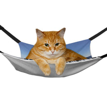 Cargar imagen en el visor de la galería, Hamaca Colgante para Gatos y Perros Pequeños | El Refugio Instintivo