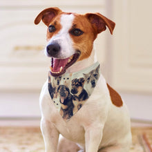 Cargar imagen en el visor de la galería, Bandana Triangular Personalizada para Mascotas
