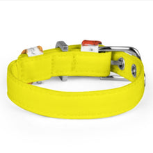 Cargar imagen en el visor de la galería, Collar ajustable para perros y gatos Q025 accesorios para mascotas personalizado con patrón foto texto (impresión de imágenes múltiples)