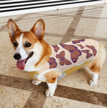 Cargar imagen en el visor de la galería, Chaleco para mascotas con estampado completo SDS-CWBX adecuado para perros y gatos personalizado con patrón foto texto (impresión de imágenes múltiples)