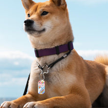 Cargar imagen en el visor de la galería, Llaveros de metal y placas de identificación con la misma imagen en ambos lados personalizado con patrón foto texto