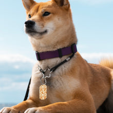 Cargar imagen en el visor de la galería, Llaveros y placas de identificación de metal con diferentes imágenes en ambos lados personalizado con patrón foto texto