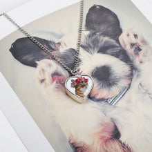 Cargar imagen en el visor de la galería, Collar Memorial Personalizado para Cenizas de Mascotas con Foto