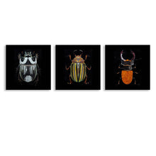 Cargar imagen en el visor de la galería, Cuadros imágenes Pintura de Múltiples Diseños Impresión Cuadrado Póster Colgante de 3 Paneles 3 Unidad Pintura de Lienzo (Cuadrado) GY0903217 Personalizado Personalizada con Foto, Texto o Logo