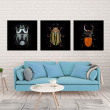 Cargar imagen en el visor de la galería, Cuadros imágenes Pintura de Múltiples Diseños Impresión Cuadrado Póster Colgante de 3 Paneles 3 Unidad Pintura de Lienzo (Cuadrado) GY0903217 Personalizado Personalizada con Foto, Texto o Logo