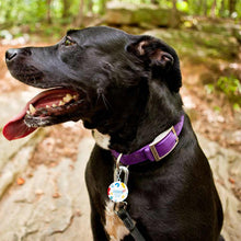 Cargar imagen en el visor de la galería, Placa para Perro Gato / Tarjeta de Identificación Etiqueta de Mascota CW1501012 Personalizada Impresion Completa de Una Imagen con Foto Logo Patrón Texto