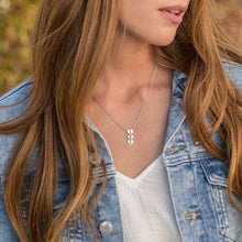 Cargar imagen en el visor de la galería, Collar familiar colgante corazón en plata de ley 925 chapado de oro rosa de 18K para mujer hombre X0056 Personalizado con texto nombre