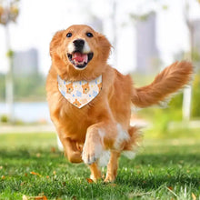 Cargar imagen en el visor de la galería, Bufanda Ajustable para Mascotas / Pañuelos para Perros Gatos CW1503006 Personalizada de Una Imagen con Foto Logo Patrón Texto