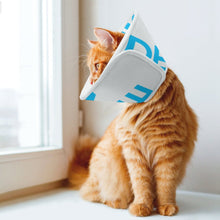 Cargar imagen en el visor de la galería, Collar con forma de cono de mascota ajustable para gatos, perros, conejos, collar protector de plástico Elizabeth para curación de heridas, práctica cubierta para cuello, pequeño y mediano CW1503001 Personalizado Personalizada con Foto, Texto o Logo
