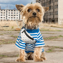 Cargar imagen en el visor de la galería, Riñonera para mascotas (autorespaldo) personalizada con Foto, Texto o Logo