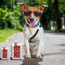 Cargar imagen en el visor de la galería, Riñonera para mascotas (autorespaldo) personalizada con Foto, Texto o Logo