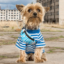 Cargar imagen en el visor de la galería, Riñonera para mascotas (autorespaldo) personalizada con Foto, Texto o Logo