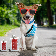 Cargar imagen en el visor de la galería, Riñonera para mascotas (autorespaldo) personalizada con Foto, Texto o Logo