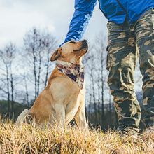 Cargar imagen en el visor de la galería, Bandana Triangular Personalizada para Mascotas
